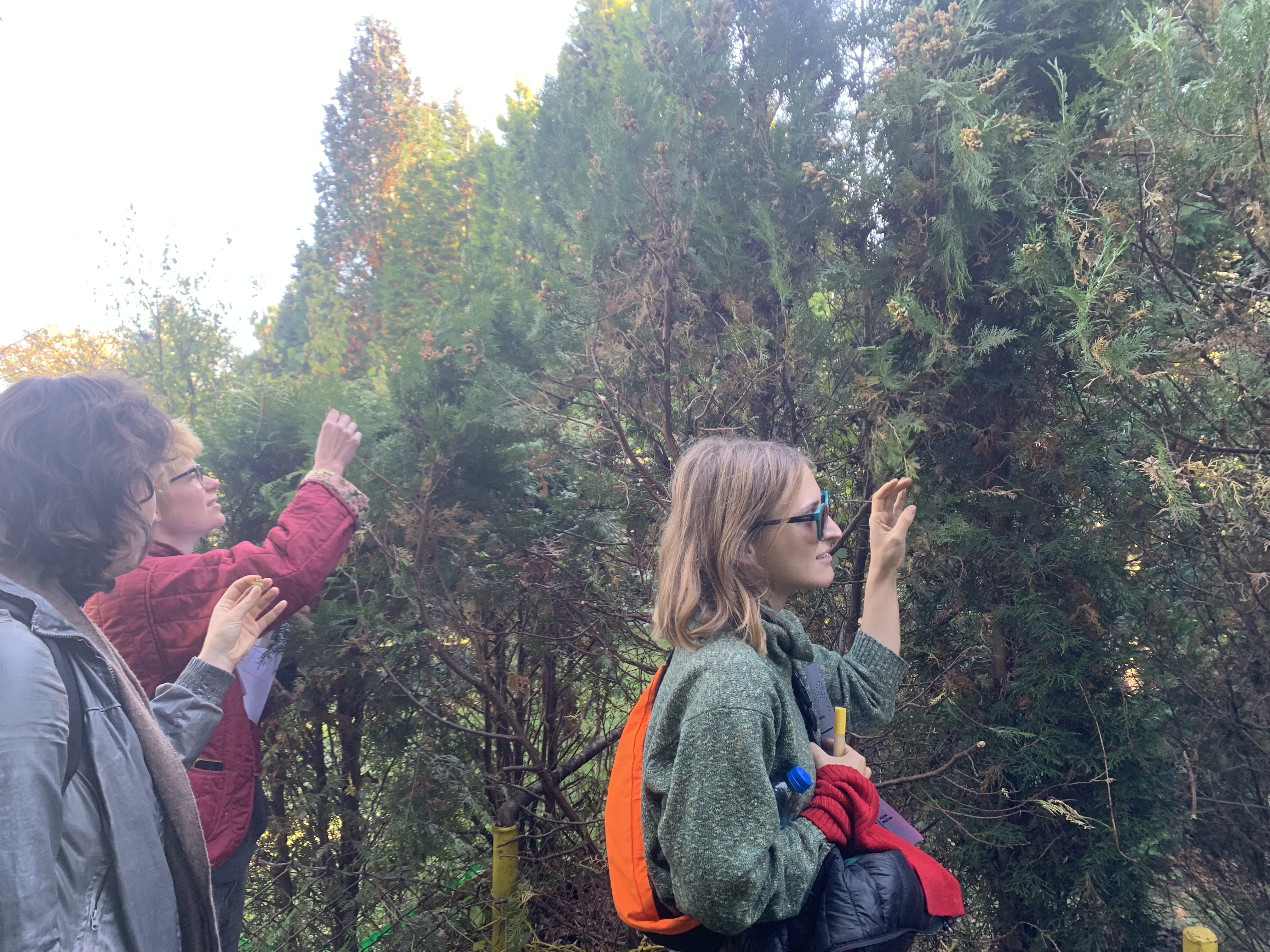 dzialkowicze%20czy%20dzialkowcy_2